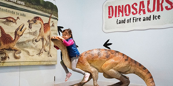 Dinosaurs_Exhibit