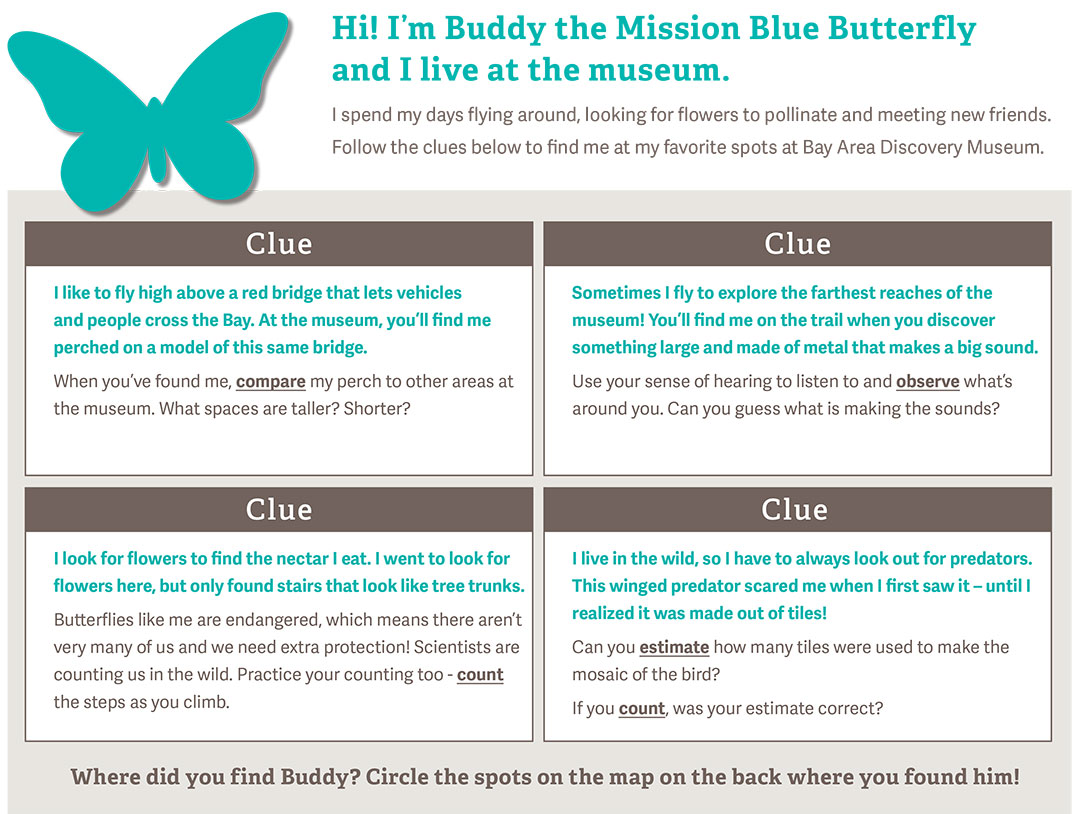 Buddy-Butterfly-Update_v2-1