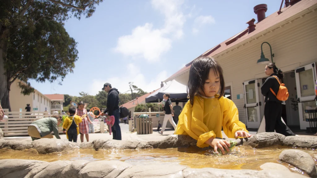 Discovery Zones