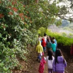 Thanksgiving Break · Enchanted Adventures
