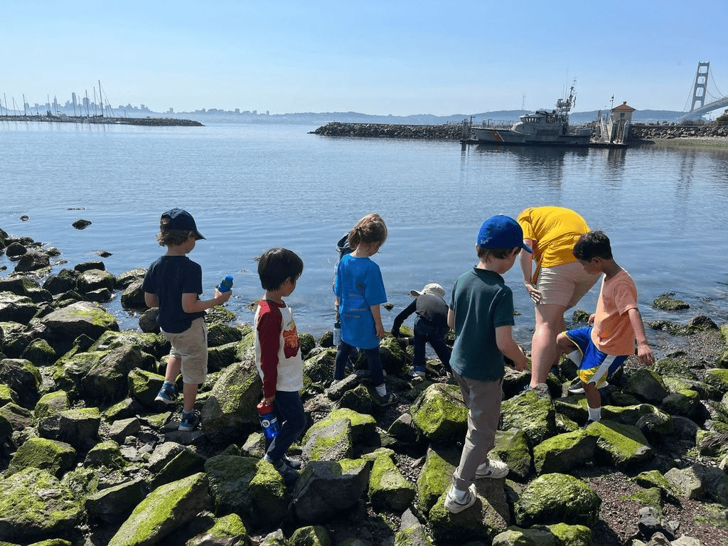Young children exploring Horseshoe Bay on a warm afternoon
