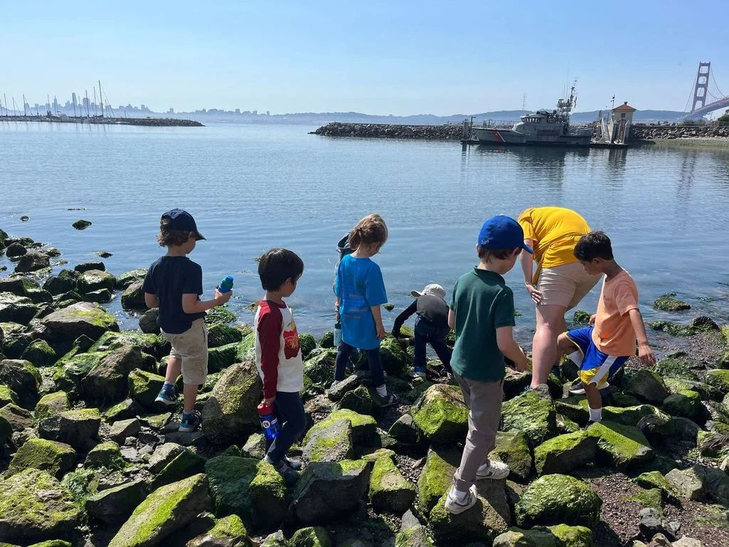 Young children exploring Horseshoe Bay on a warm afternoon