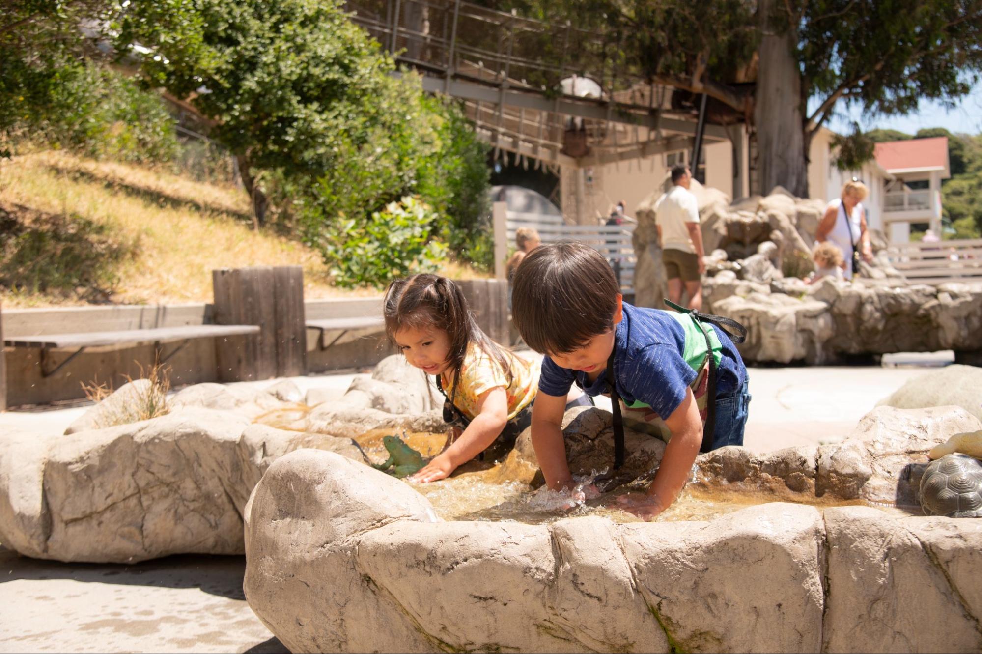 Young toddlers engage in play-based learning at the Bay Area Discovery Museum